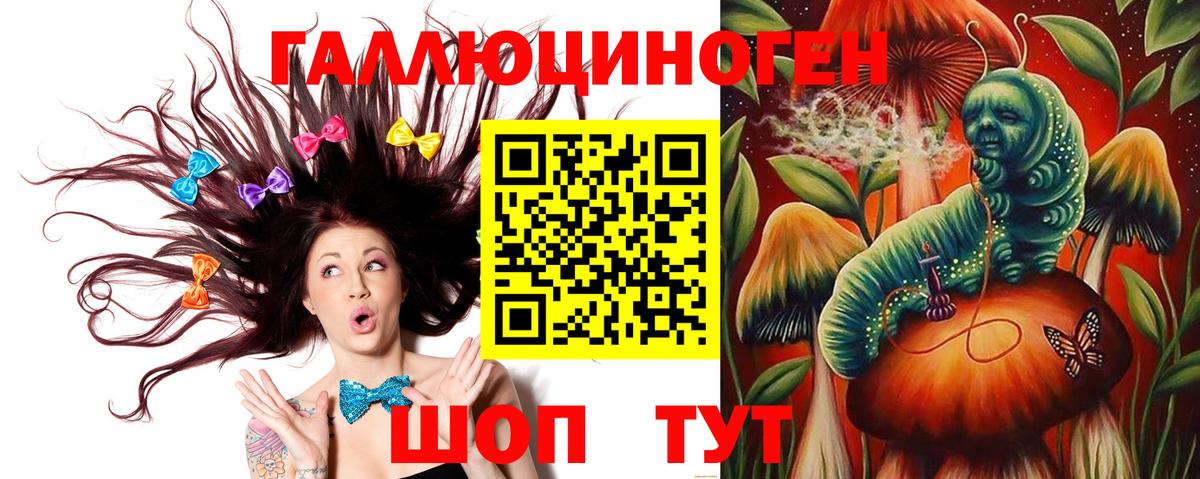 Фурманов  Галлюциногенные грибы MAGIC MUSHROOMS  Вход с VPN 